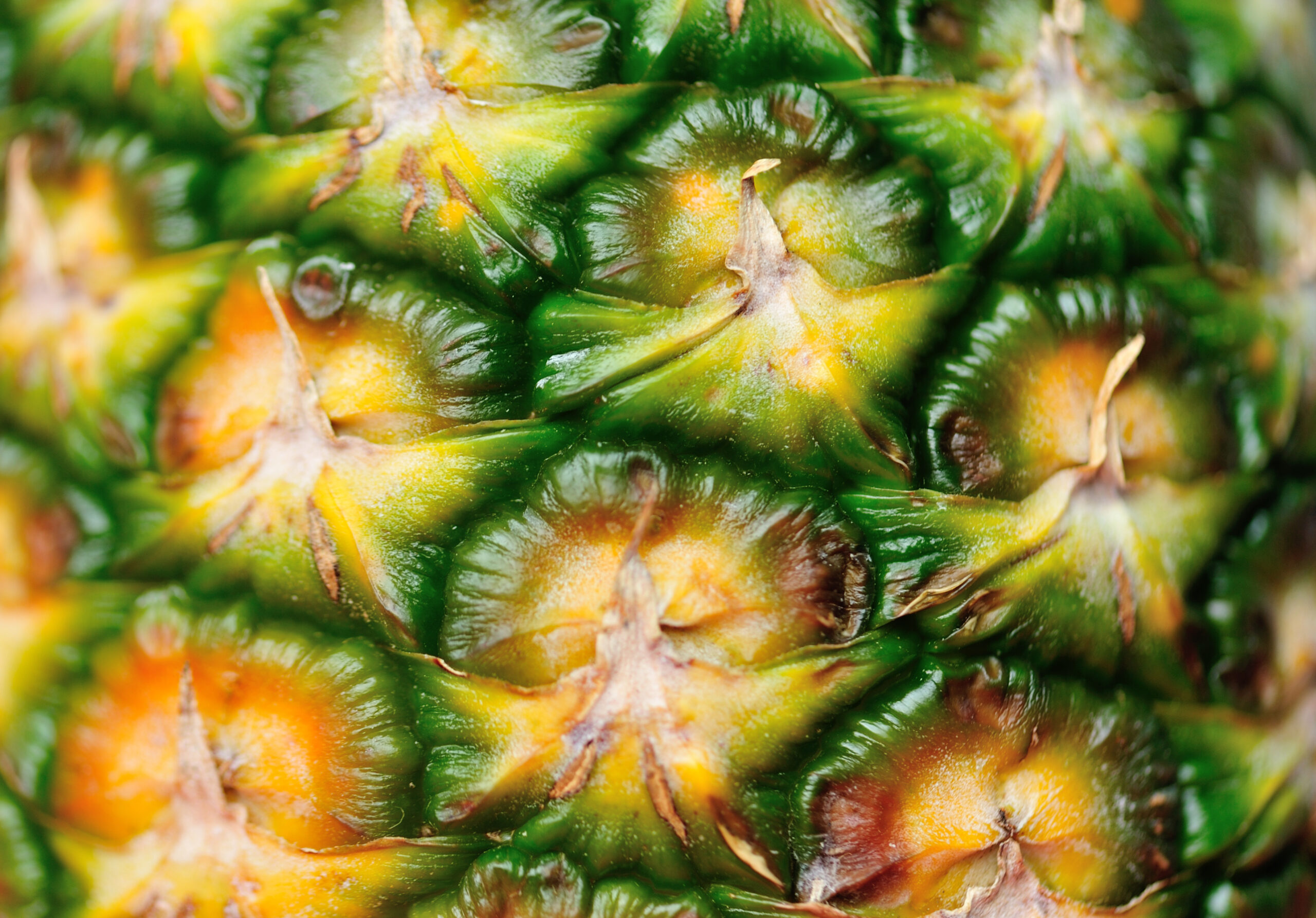Close-up detail of a fresh tropical pineapple