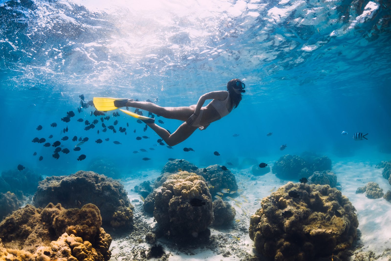 Freediver swimming with tropical fish in Caribbean waters