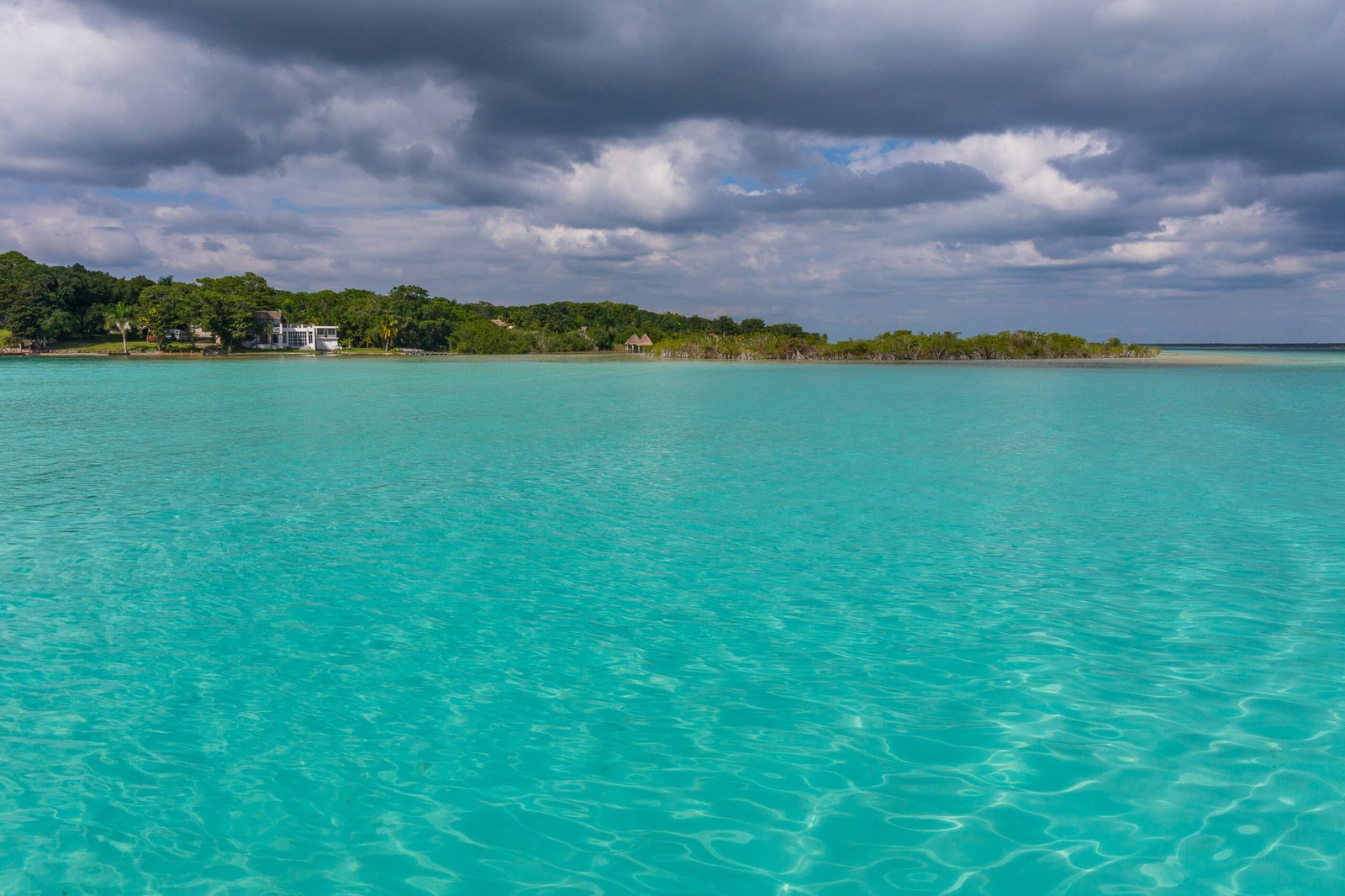 Palm trees and homes along the shore of Bacalar Lagoon