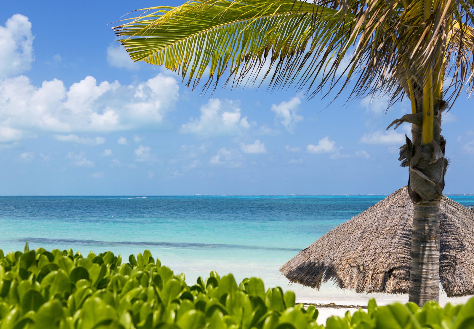 Tropical Caribbean beach with palm trees in Mahahual Mexico