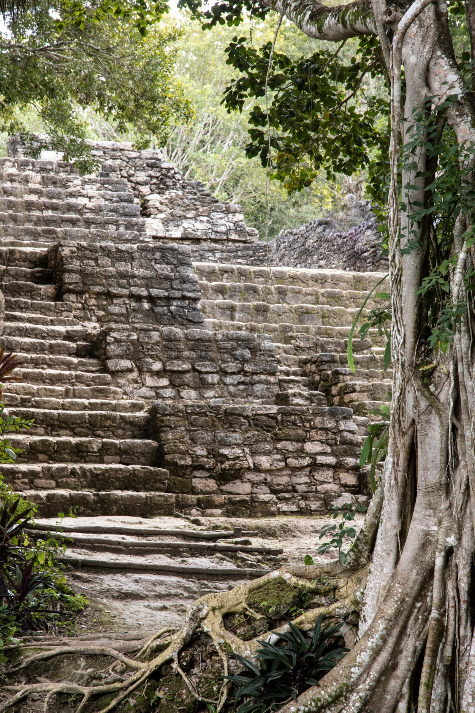 Architectural detail of a Maya pyramid at Chacchoben archaeological site